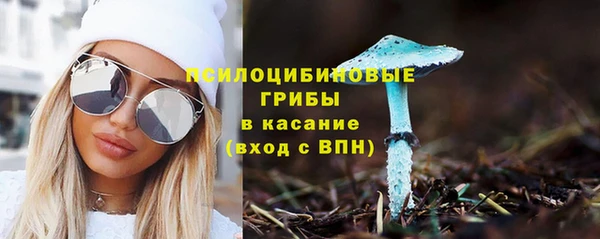 эйфоретик Нея